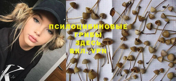 ECSTASY Валдай