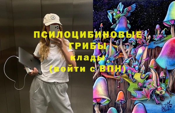 ECSTASY Валдай