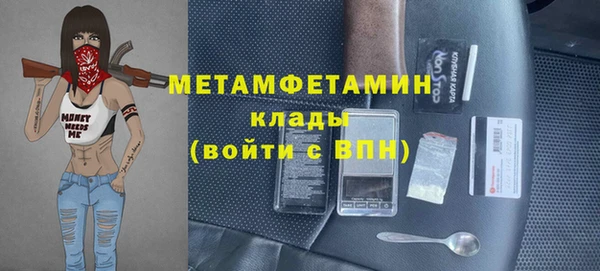 прущие грибы Богданович