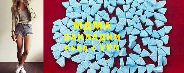 прущие грибы Богданович