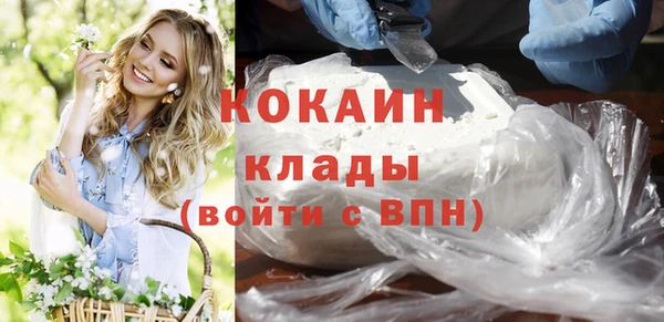 прущие грибы Богданович
