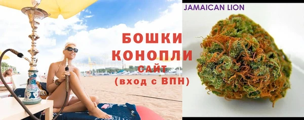 прущие грибы Богданович