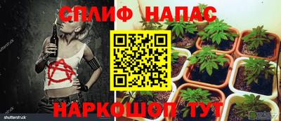 a pvp Бердск
