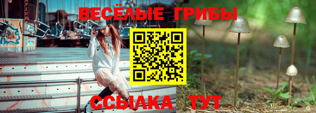 Псилоцибиновые грибы Psilocybe  Вход с VPN  Бузулук 
