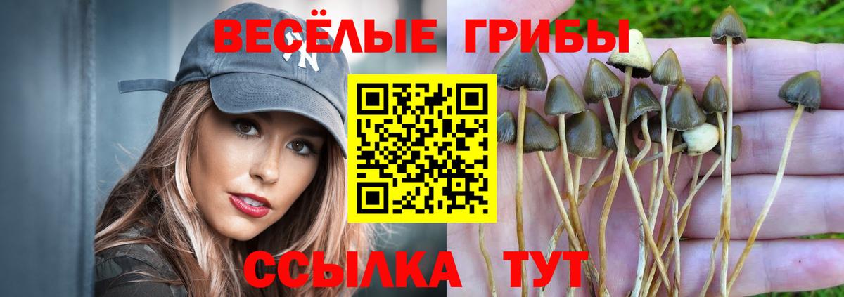 Псилоцибиновые грибы GOLDEN TEACHER Бузулук
